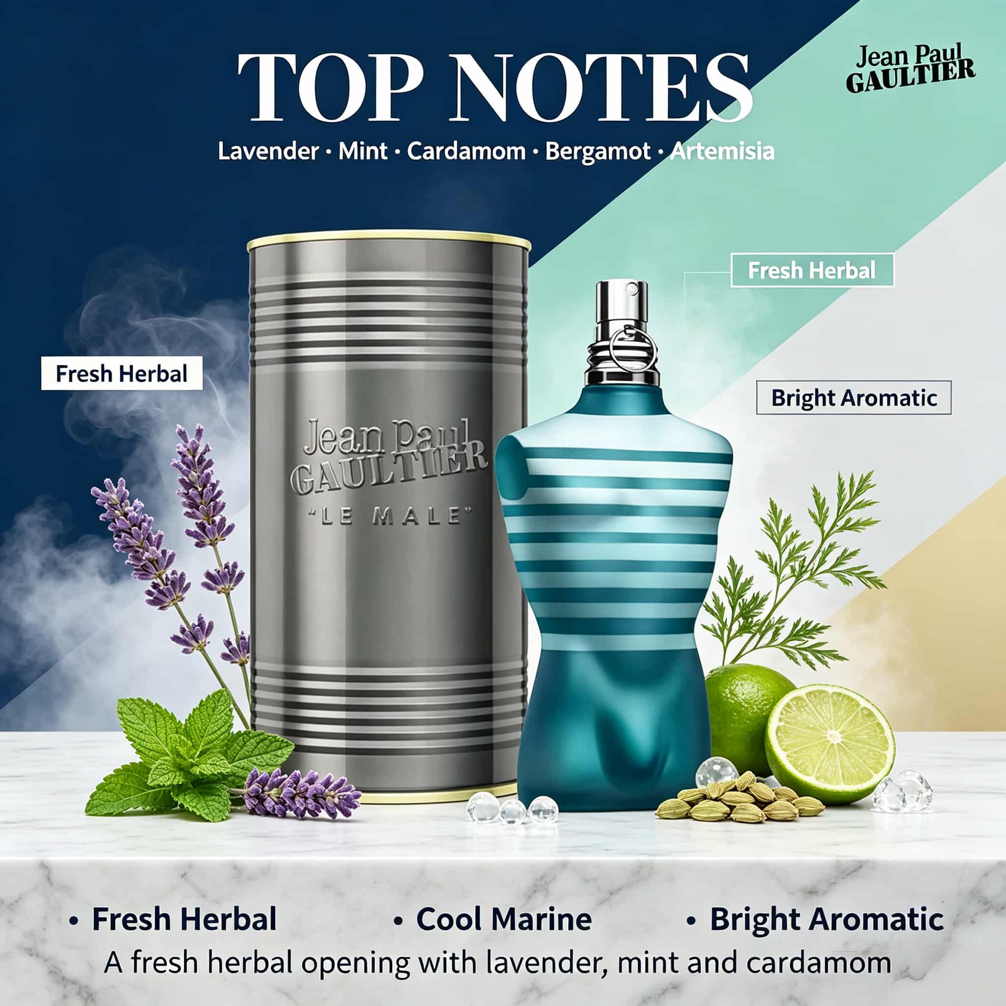 Туалетная вода Jean Paul Gault – обзор и цена Perfume Fragrance Jean Paul Gaultier Le Male